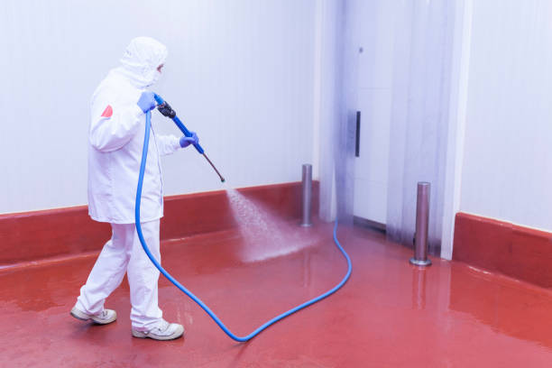 Best Roof Washing  in Galena Park, TX